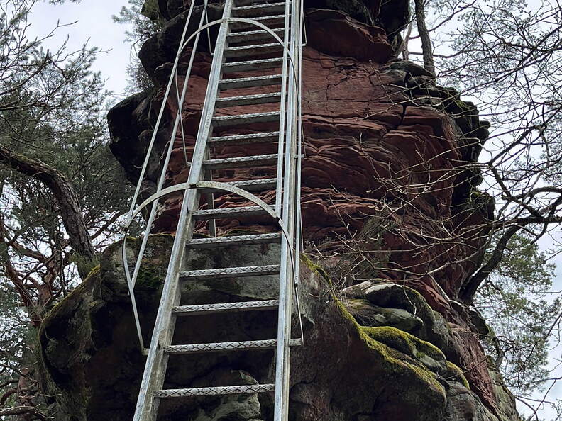 24-03-01 13-40-35 2349